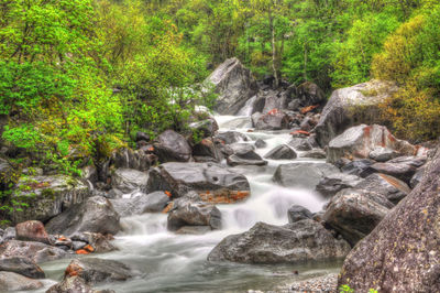 Scenic view of waterfall in forest