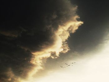 Low angle view of silhouette birds flying against sky