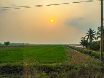 Scenic view of field against sky during sunset