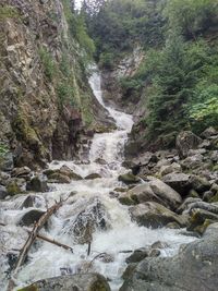Scenic view of waterfall in forest
