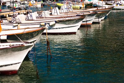 High angle view of sailboats moored in harbor