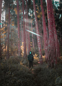 Rear view of man standing by trees in forest