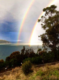Scenic view of sea at sunset