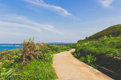 Scenic view of calm sea against blue sky