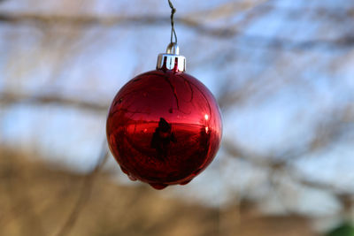 Close-up of red christmas ornament hanging against branches