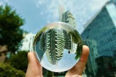 Cropped hand holding crystal ball