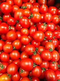 Full frame shot of tomatoes