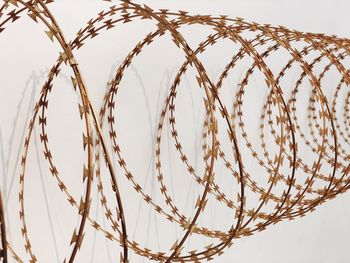 Close-up of barbed wires against white background
