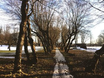 Bare trees on snow covered field against sky