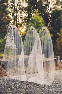 Double exposure of boys in ghost costumes against trees at cemetery during halloween