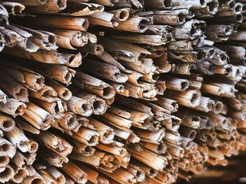 Full frame shot of logs in forest