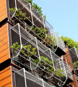 Low angle view of potted plants against clear sky