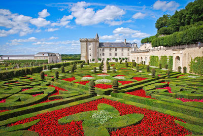 View of plants growing in garden