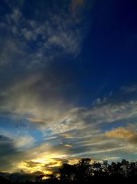 Low angle view of silhouette trees against sky