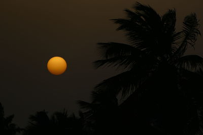 Low angle view of silhouette tree against sky at night