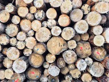 Full frame shot of logs