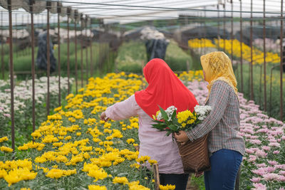 Rear view of people standing on yellow flowering plants