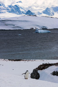 Scenic view of sea against sky during winter