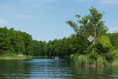 Trees by lake against sky