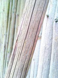 Close-up of wooden plank