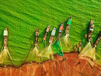 High angle view of palm tree leaves