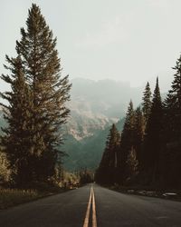 Empty road with trees in background