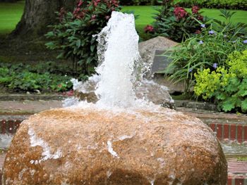 Close-up of rocks in water