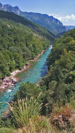 Scenic view of river in forest against sky