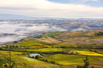 Scenic view of agricultural field against sky