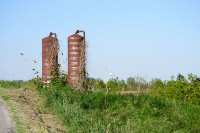 Plants growing on field against clear sky