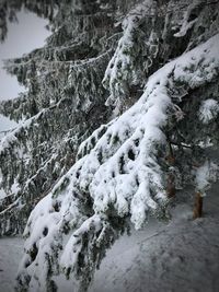 Close-up of snow on shore against sky