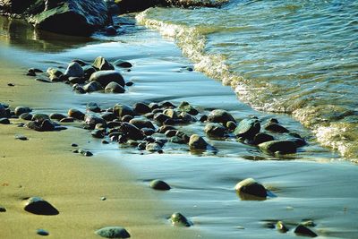 Scenic view of beach