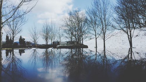 Bare trees against cloudy sky