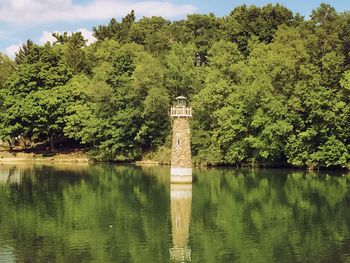 Reflection of trees in calm lake