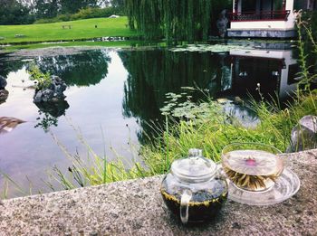 Reflection of trees in pond
