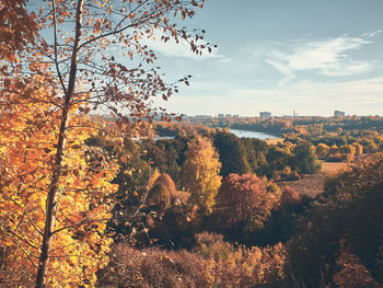 Trees on landscape against sky during autumn