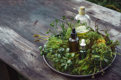 Bottles natural cosmetics serum, tinctures oil with fresh plants on wooden table