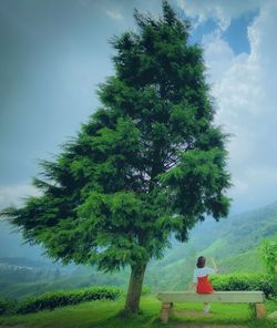 Rear view of woman by tree on field against sky