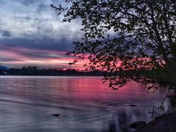 Tree by lake against sky during sunset