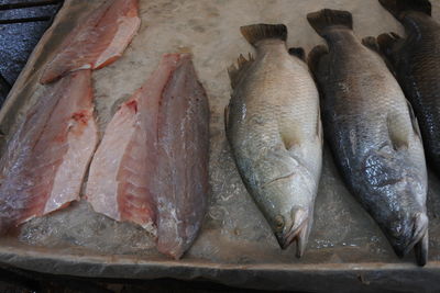 High angle view of fish for sale in market