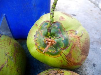 High angle view of bananas