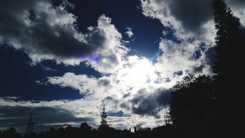 Low angle view of silhouette trees against sky