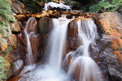 View of waterfall in forest