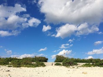 Scenic view of landscape against blue sky