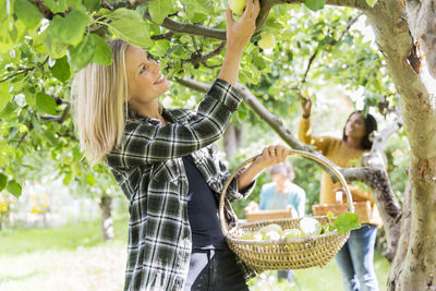 Women picking apples