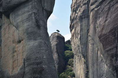 Lonly tree up to a rock at meteora, greece