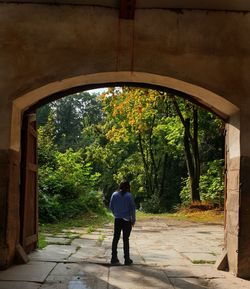 Rear view of man standing by trees