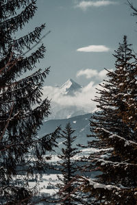 Scenic view of snow covered landscape