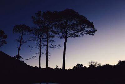 Low angle view of silhouette trees against sky