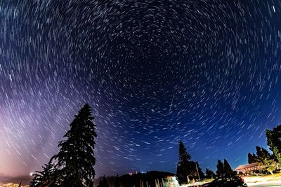 Low angle view of silhouette trees against star field